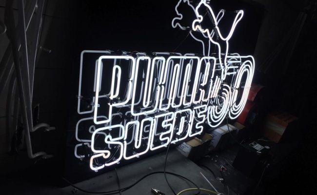 Luminoso Puma